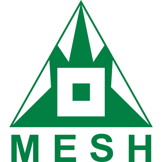 India - MESH (Maximising Employment to Serve the Handicapped)